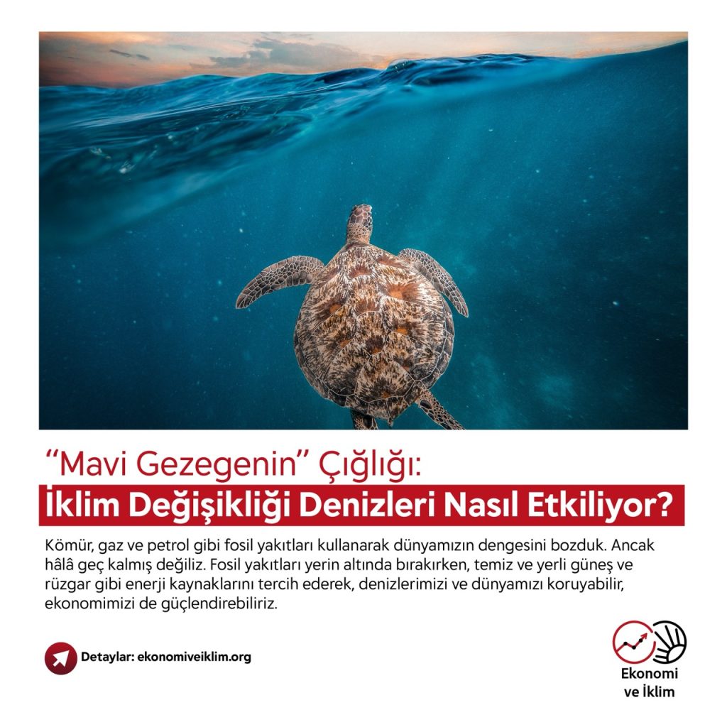 “Mavi Gezegenin” Çığlığı: İklim Değişikliği Denizleri Nasıl Etkiliyor?